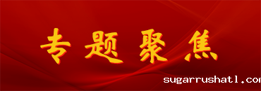 专题聚焦