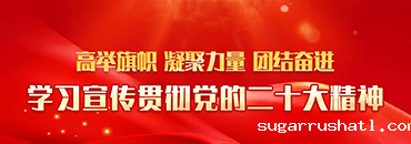 学习宣传贯彻党的二十大精神
